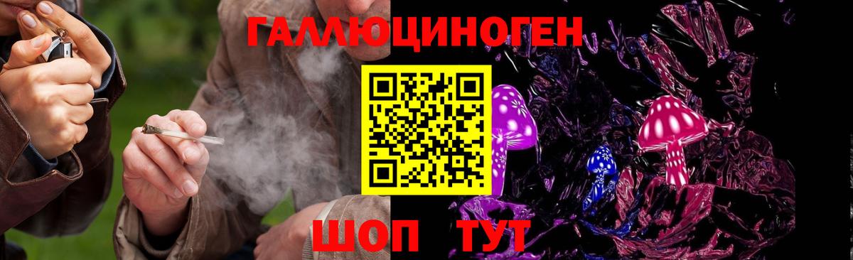 Шебекино  Галлюциногенные грибы ЛСД  Вход с VPN  где купить наркоту  Галлюциногенные грибы ЛСД 